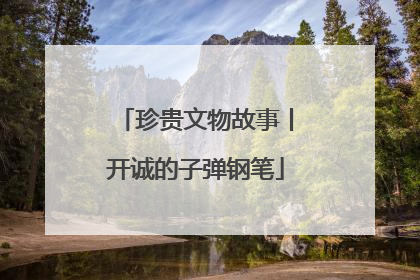 珍贵文物故事丨开诚的子弹钢笔