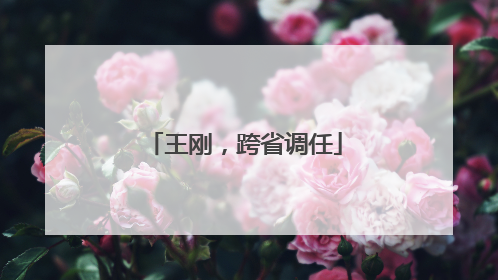 王刚，跨省调任