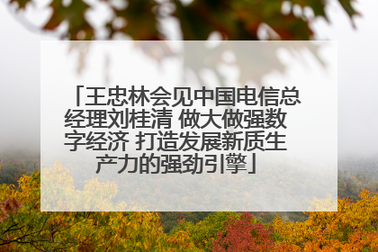 王忠林会见中国电信总经理刘桂清 做大做强数字经济 打造发展新质生产力的强劲引擎