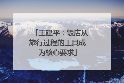 王建平：饭店从旅行过程的工具成为核心要求