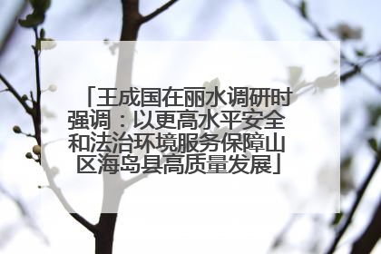王成国在丽水调研时强调：以更高水平安全和法治环境服务保障山区海岛县高质量发展