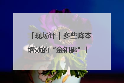 现场评｜多些降本增效的“金钥匙”