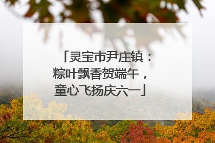 灵宝市尹庄镇：粽叶飘香贺端午，童心飞扬庆六一