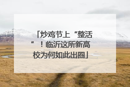 炒鸡节上“整活”！临沂这所新高校为何如此出圈