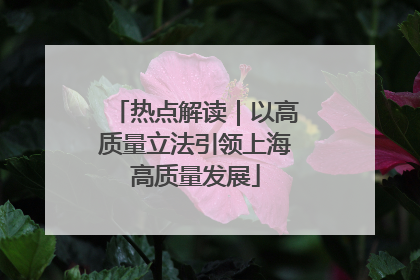 热点解读｜以高质量立法引领上海高质量发展