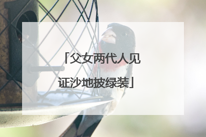 父女两代人见证沙地披绿装