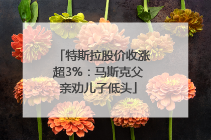 特斯拉股价收涨超3%：马斯克父亲劝儿子低头