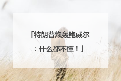 特朗普炮轰鲍威尔：什么都不懂！