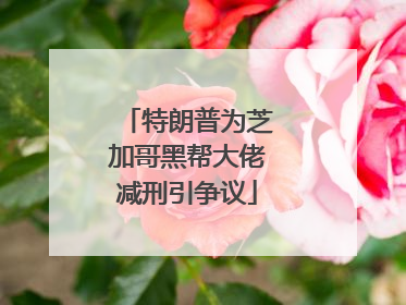 特朗普为芝加哥黑帮大佬减刑引争议