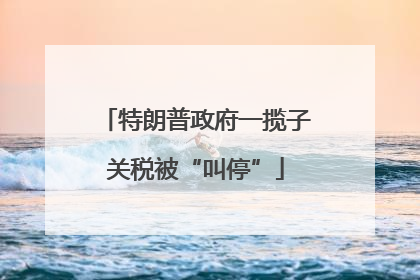 特朗普政府一揽子关税被“叫停”