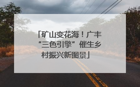 矿山变花海！广丰“三色引擎”催生乡村振兴新图景