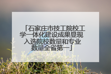 石家庄市技工院校工学一体化建设成果显现 入选院校数量和专业数量全省第一