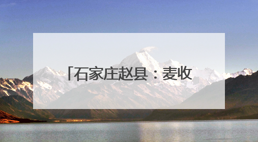 石家庄赵县：麦收时节好“丰”景