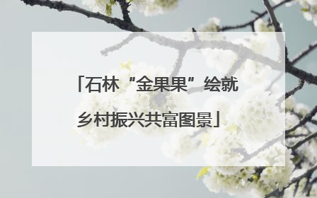 石林“金果果”绘就乡村振兴共富图景