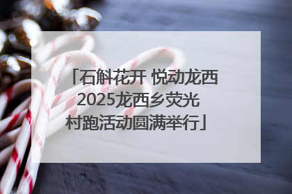 石斛花开 悦动龙西 2025龙西乡荧光村跑活动圆满举行