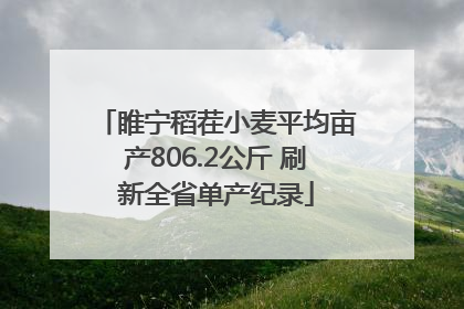 睢宁稻茬小麦平均亩产806.2公斤 刷新全省单产纪录