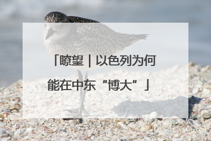 瞭望｜以色列为何能在中东“博大”