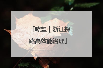 瞭望｜浙江探路高效能治理