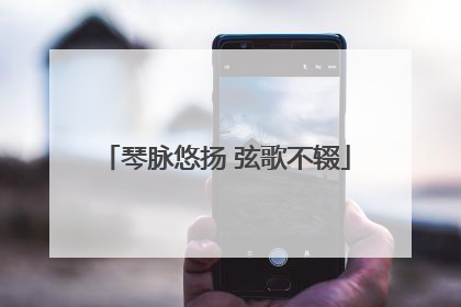琴脉悠扬 弦歌不辍