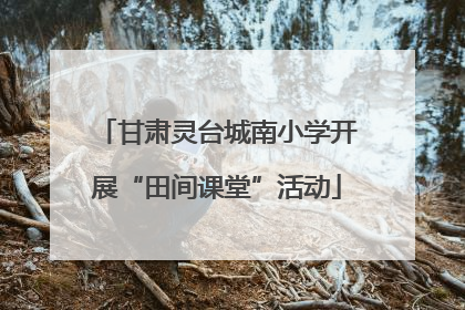 甘肃灵台城南小学开展“田间课堂”活动