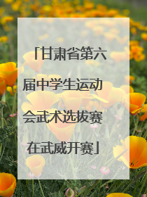 甘肃省第六届中学生运动会武术选拔赛在武威开赛