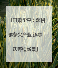 甘肃华亭：深耕链条兴产业 逐梦沃野绘新景