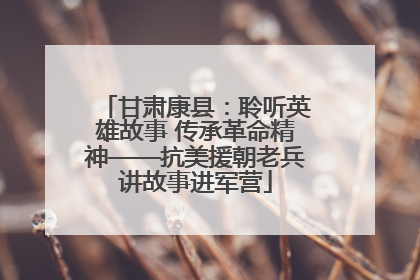 甘肃康县：聆听英雄故事 传承革命精神——抗美援朝老兵讲故事进军营