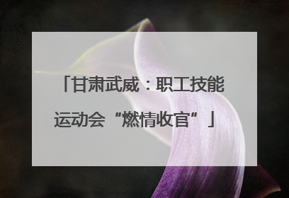 甘肃武威：职工技能运动会“燃情收官”