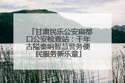 甘肃民乐公安扁都口公安检查站：千年古隘奏响智慧警务便民服务新乐章