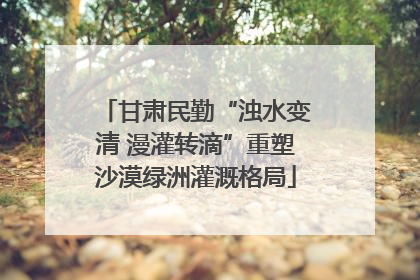 甘肃民勤“浊水变清 漫灌转滴”重塑沙漠绿洲灌溉格局