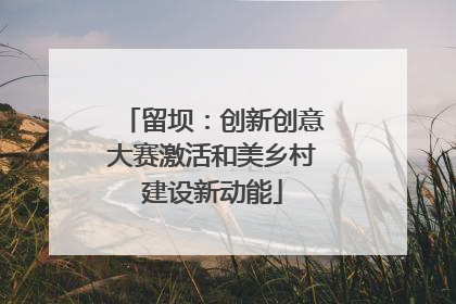 留坝：创新创意大赛激活和美乡村建设新动能