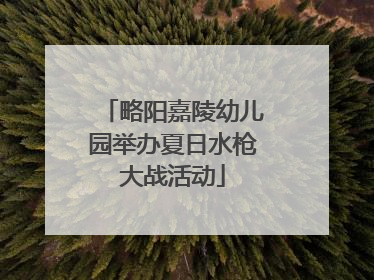 略阳嘉陵幼儿园举办夏日水枪大战活动
