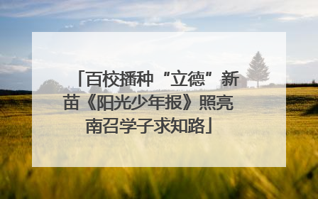 百校播种“立德”新苗《阳光少年报》照亮南召学子求知路