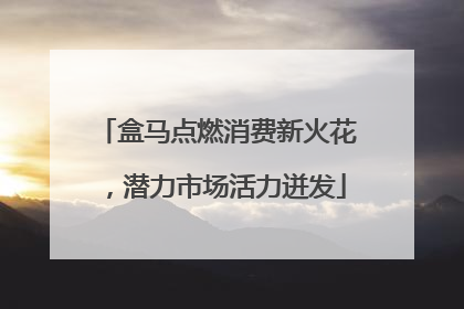 盒马点燃消费新火花，潜力市场活力迸发