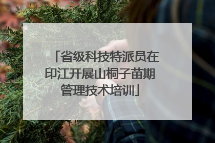 省级科技特派员在印江开展山桐子苗期管理技术培训