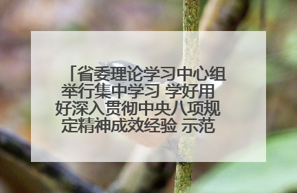省委理论学习中心组举行集中学习 学好用好深入贯彻中央八项规定精神成效经验 示范带头持续推动全省学习教育走深走实