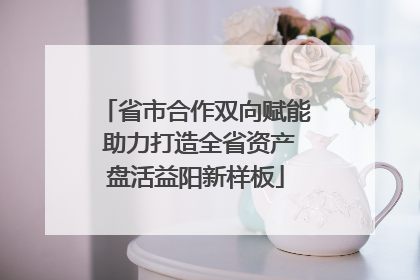 省市合作双向赋能 助力打造全省资产盘活益阳新样板