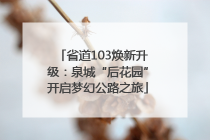 省道103焕新升级：泉城“后花园”开启梦幻公路之旅