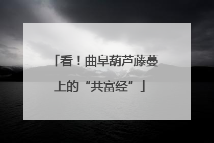 看！曲阜葫芦藤蔓上的“共富经”