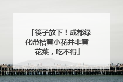 筷子放下！成都绿化带桔黄小花并非黄花菜，吃不得