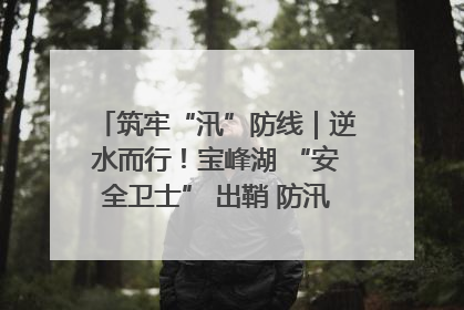 筑牢“汛”防线｜逆水而行！宝峰湖 “安全卫士” 出鞘 防汛应急再添硬核力量