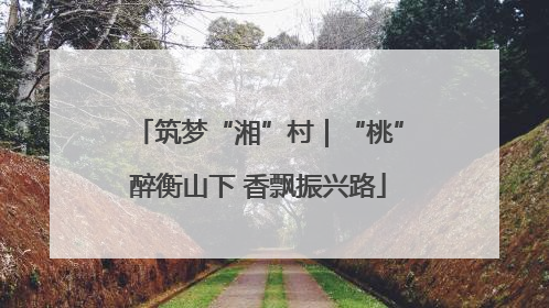 筑梦“湘”村｜“桃”醉衡山下 香飘振兴路