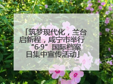 筑梦现代化，兰台启新程，咸宁市举行“6·9”国际档案日集中宣传活动