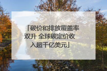 碳价和排放覆盖率双升 全球碳定价收入超千亿美元