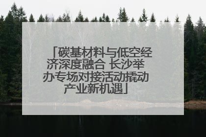 碳基材料与低空经济深度融合 长沙举办专场对接活动撬动产业新机遇