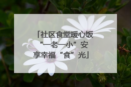 社区食堂暖心饭 “一老一小”安享幸福“食”光