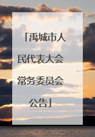 禹城市人民代表大会常务委员会公告