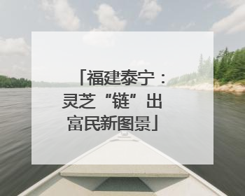 福建泰宁：灵芝“链”出富民新图景