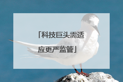 科技巨头需适应更严监管