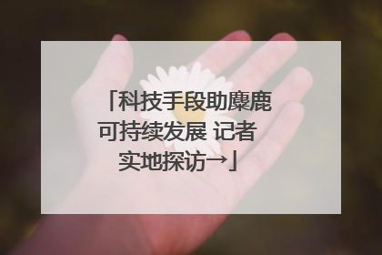 科技手段助麋鹿可持续发展 记者实地探访→